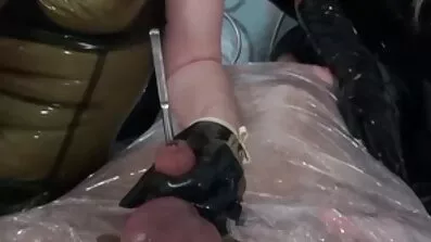 Довгошерста безкоштовне порно відео тварина тепер сіла на твердий кінець