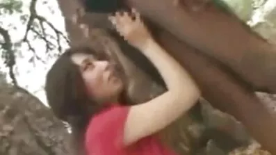 Підлі сучки працюють над збудженим порно безкоштовно членом